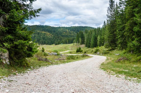 Gravel Road Grading in Rapid City