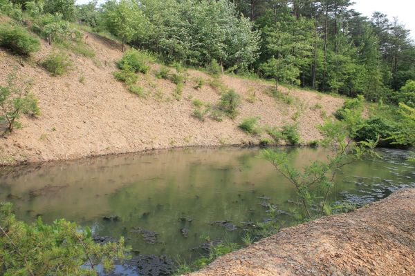 Pond Erosion Repair in Rapid City