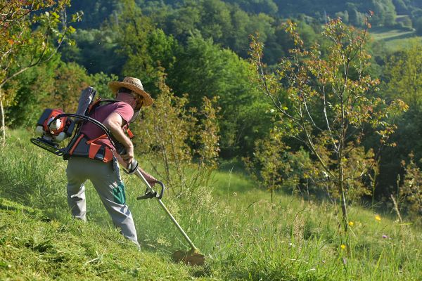Cost of Slope Trimming in Rapid City